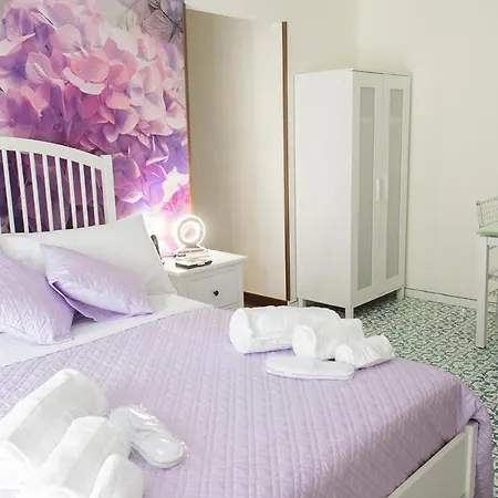 Bed Boutique Colors Pensión